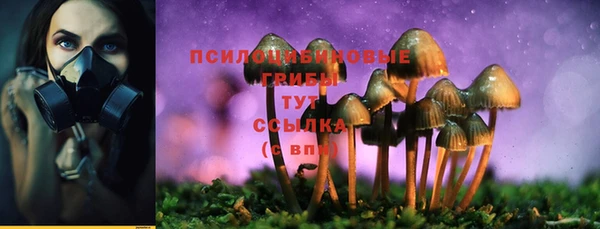 гашик Бронницы