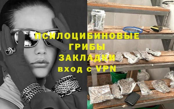 гашик Бронницы